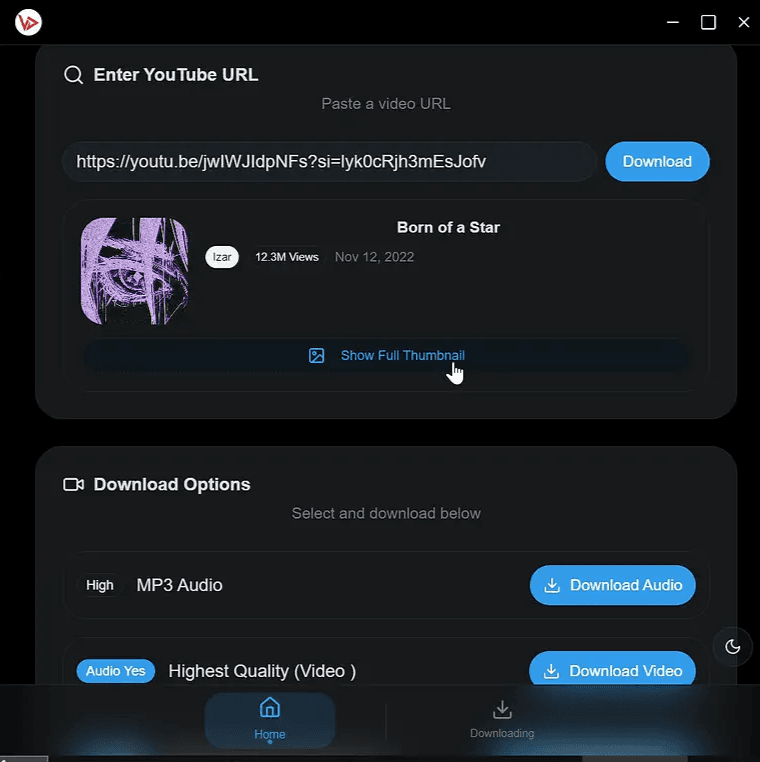 video downloader preview